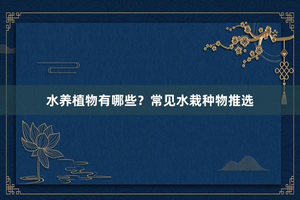 水养植物有哪些？常见水栽种物推选