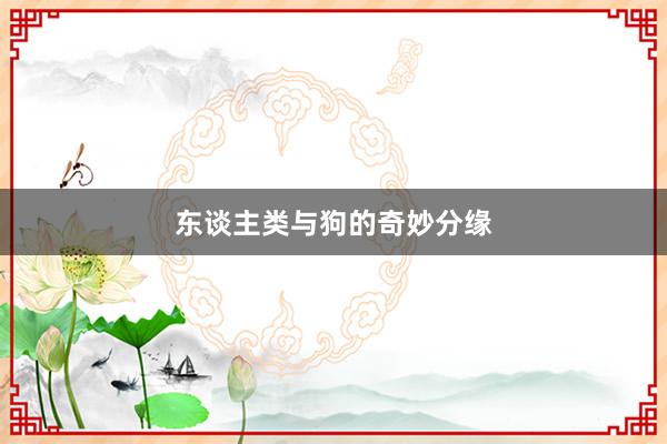 东谈主类与狗的奇妙分缘