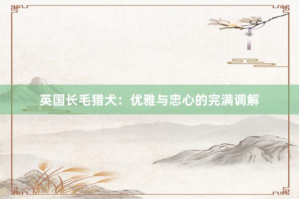 英国长毛猎犬：优雅与忠心的完满调解